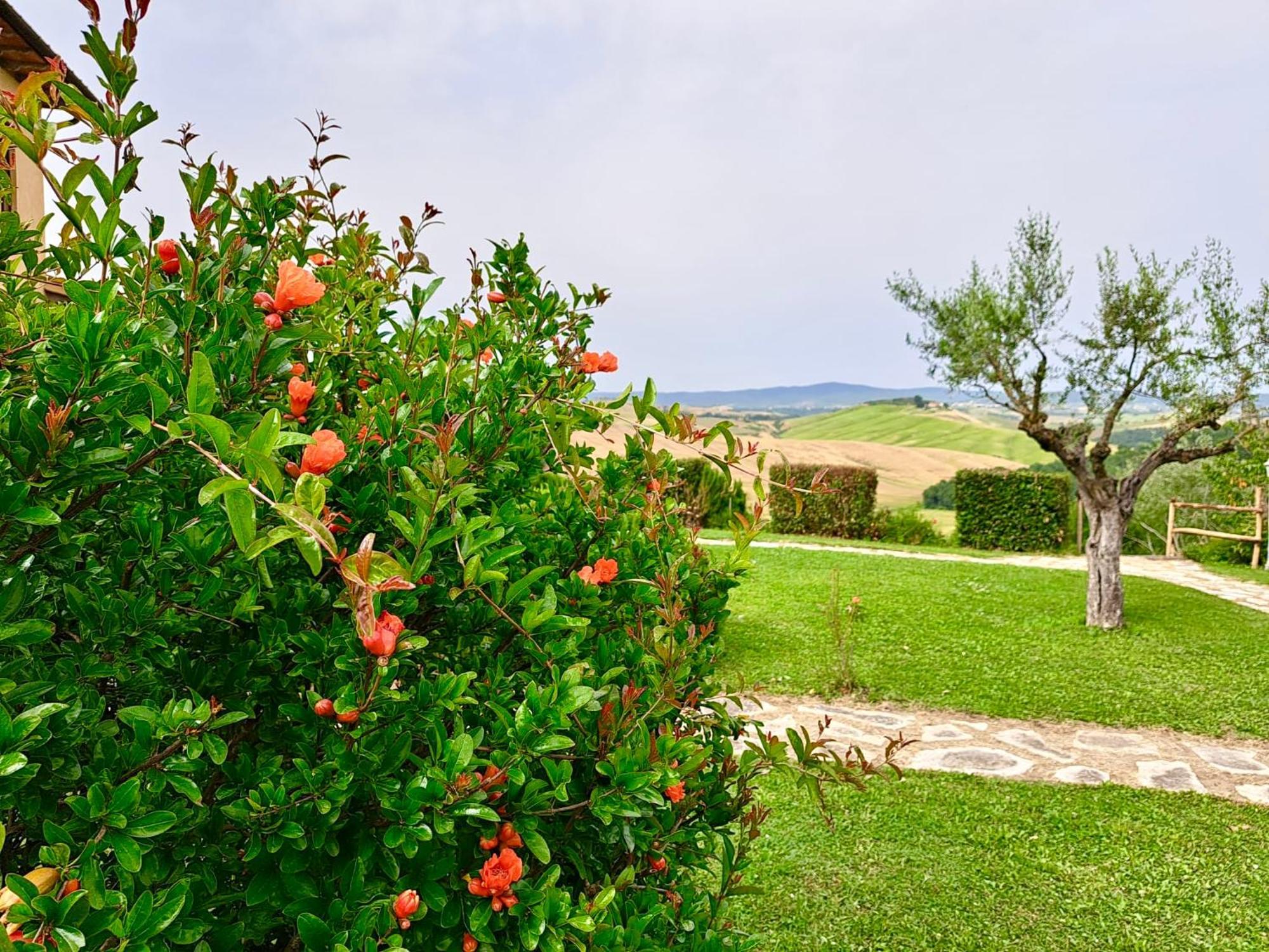 Agriturismo Caliano Ашяно Екстер'єр фото