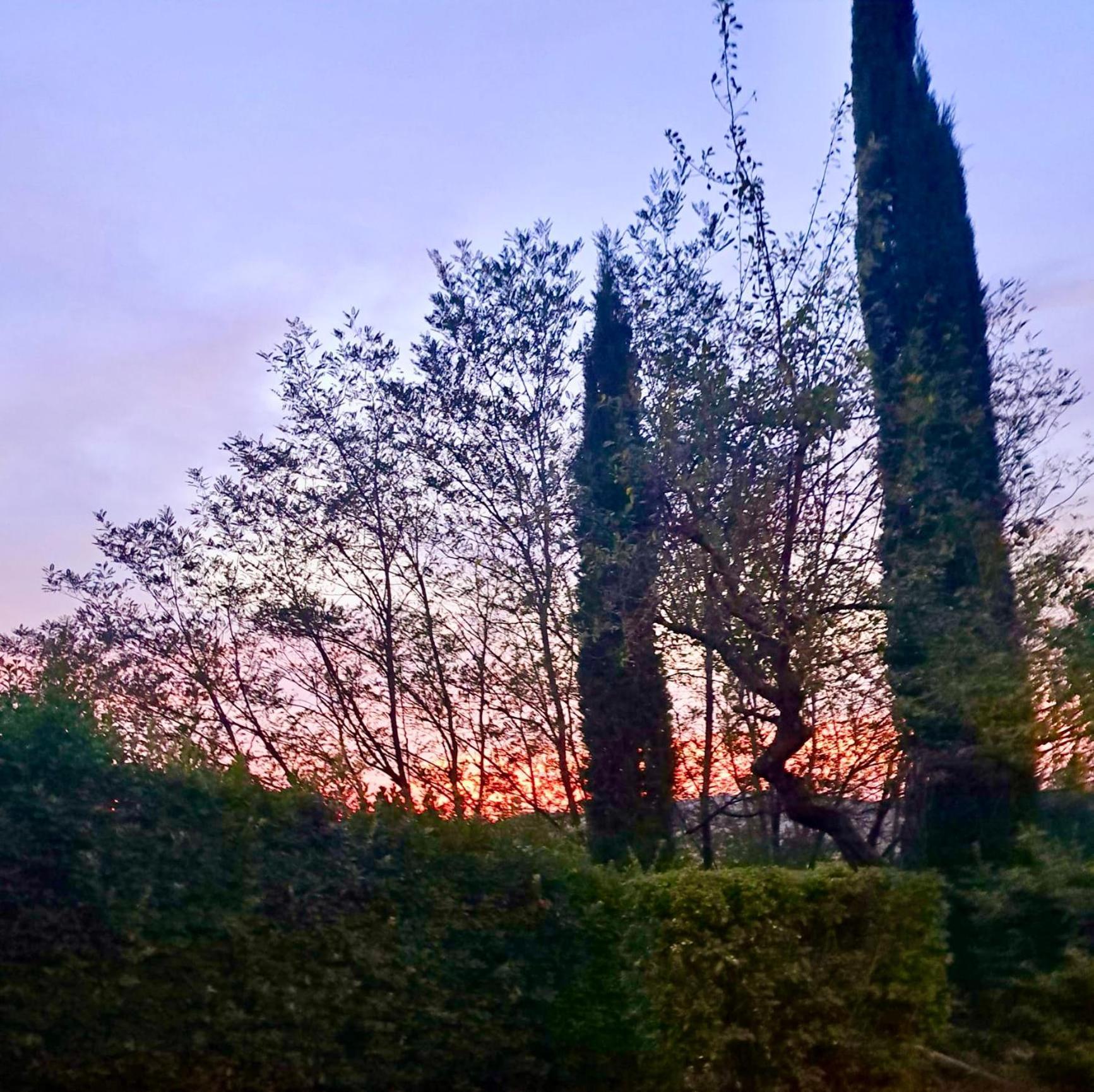 Agriturismo Caliano Ашяно Екстер'єр фото